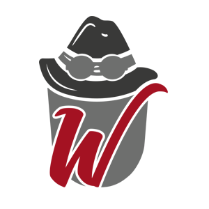 favicon_wd-300×300
